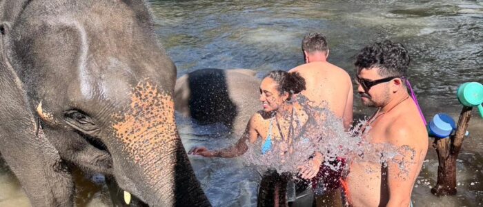 A couple enjoying in Krabi wtih Elephants